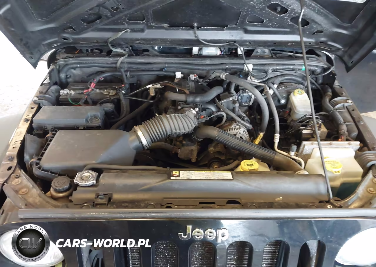 2009 Jeep Wrangler Unlimited X VIN:1J4GA39129L749199 - 10