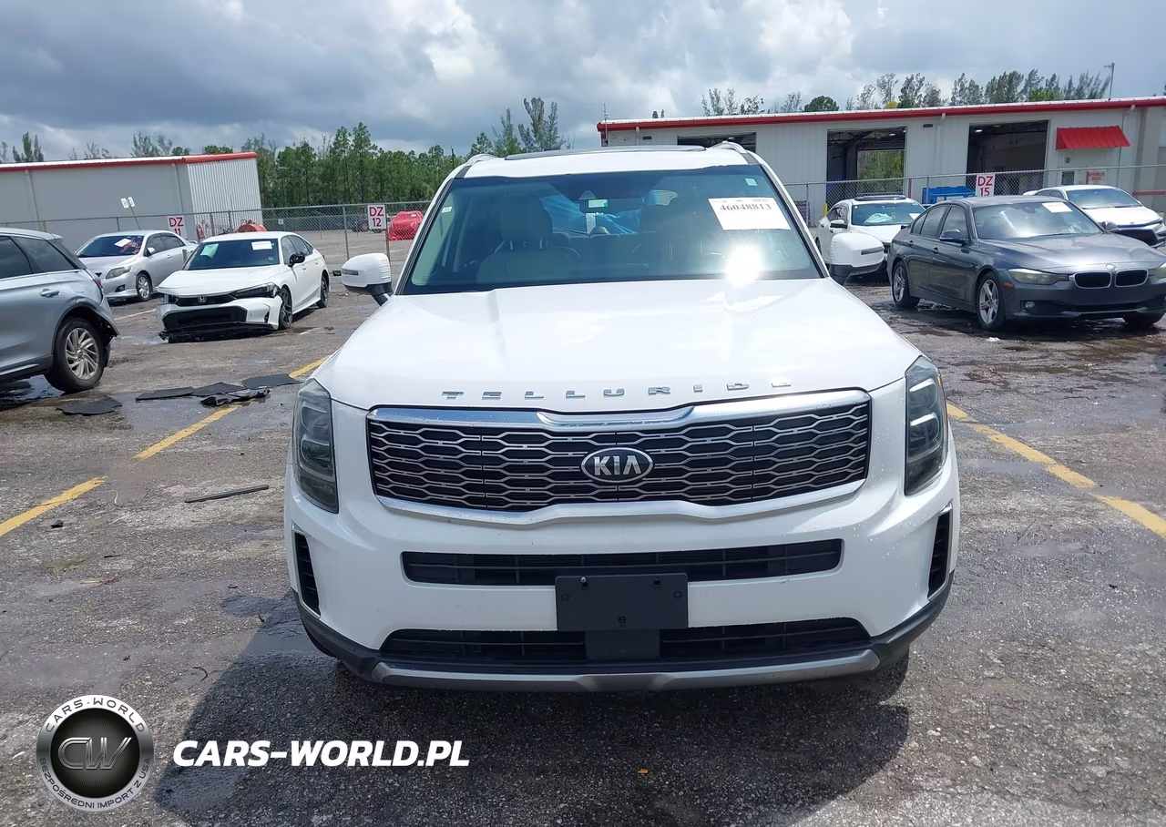 2021 Kia Telluride Ex VIN:5XYP34HC8MG180324 - 12