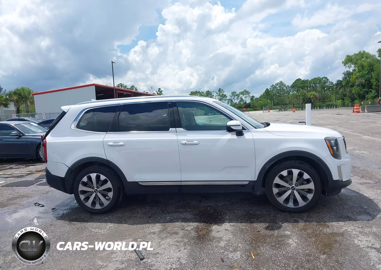 2021 Kia Telluride Ex VIN:5XYP34HC8MG180324 - 13