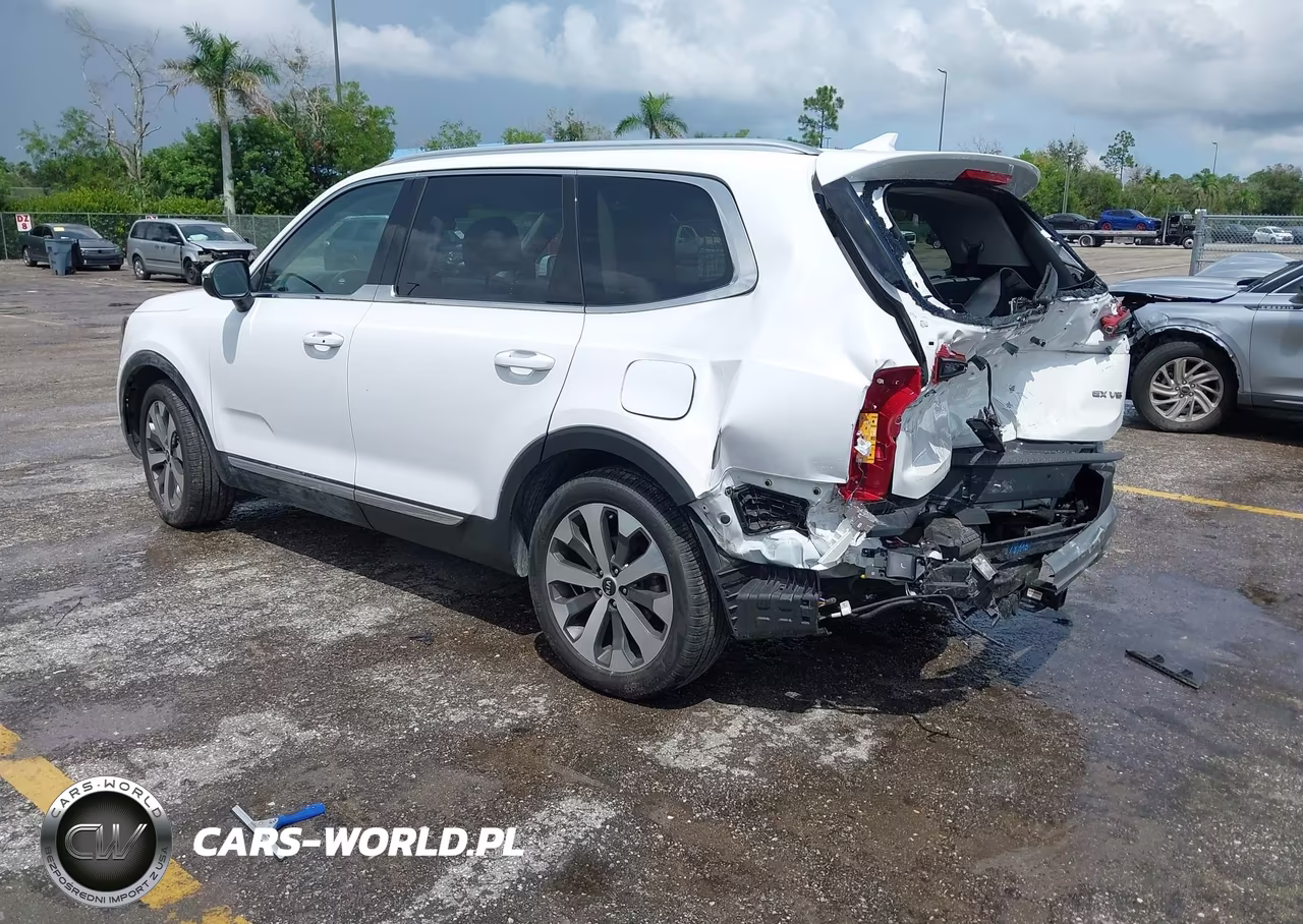 2021 Kia Telluride Ex VIN:5XYP34HC8MG180324 - 3