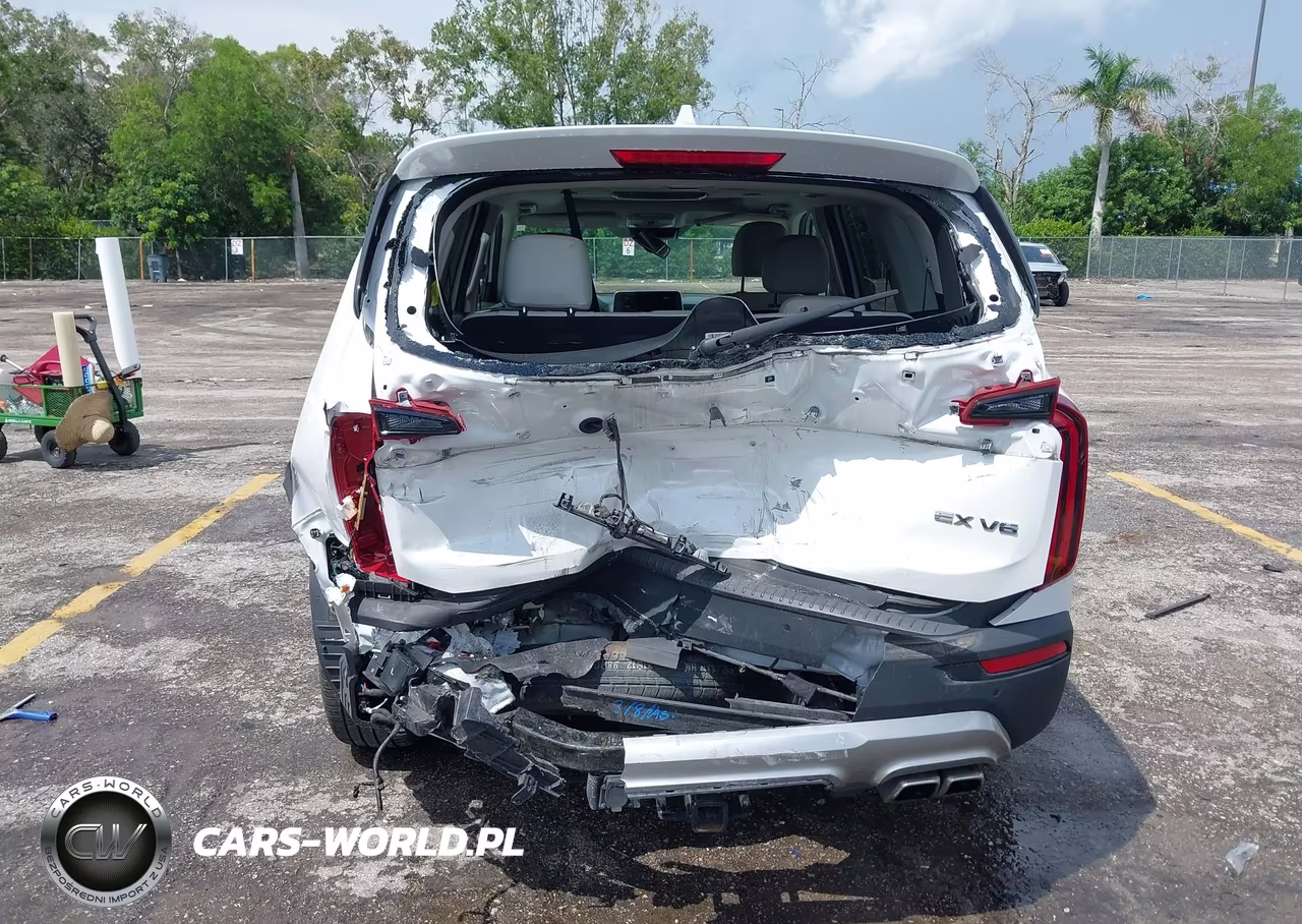 2021 Kia Telluride Ex VIN:5XYP34HC8MG180324 - 6