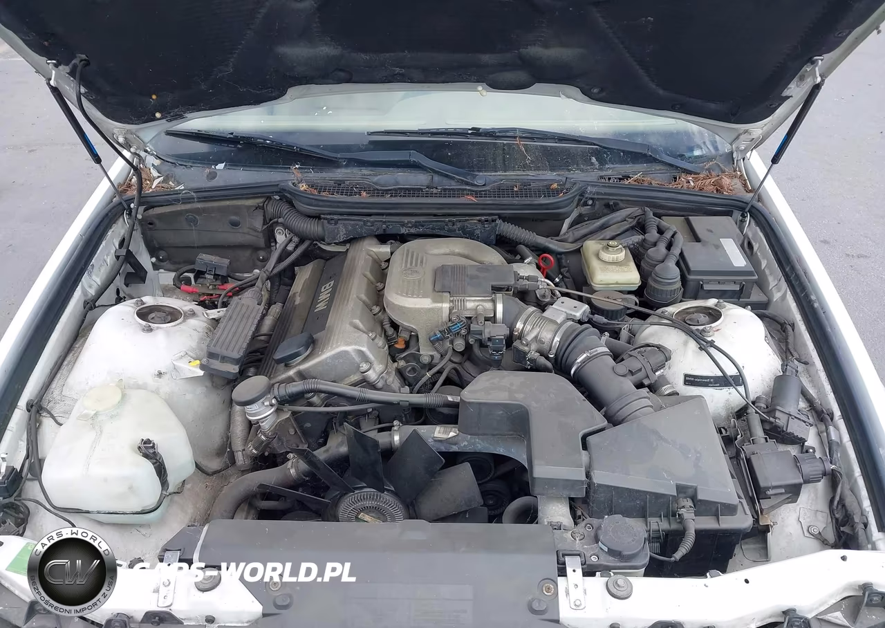 1997 BMW 318I VIN:WBACC0323VEK21908 - 10