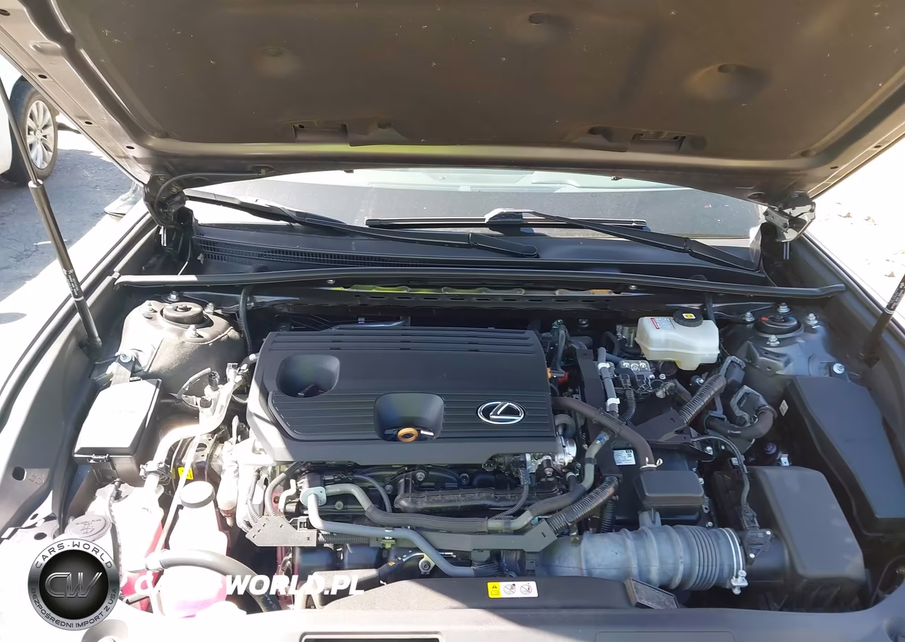 2022 Lexus Es 300H VIN:58ACA1C18NU022076 - 10