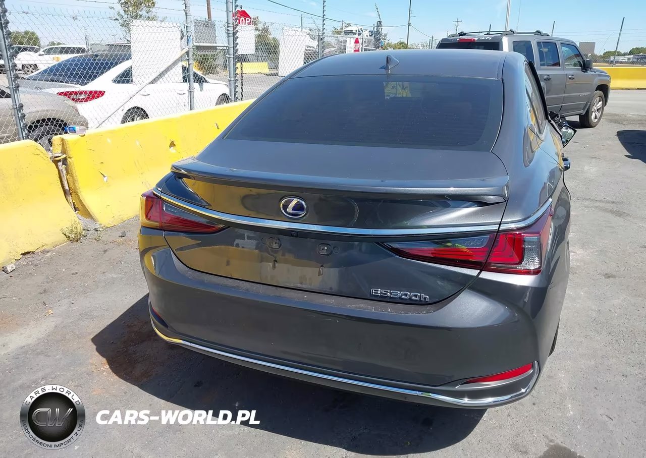 2022 Lexus Es 300H VIN:58ACA1C18NU022076 - 16