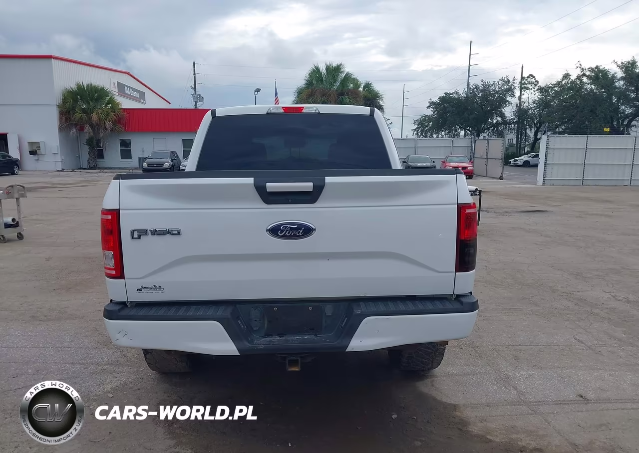 2017 Ford F-150 Xlt VIN:1FTEW1EF4HFB06483 - 16