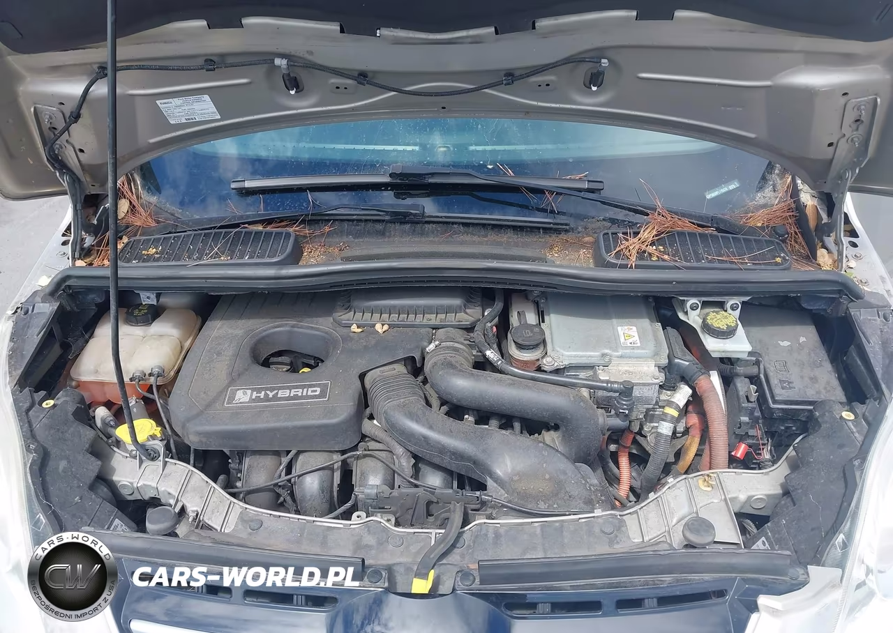 2015 Ford C-Max Hybrid Sel VIN:1FADP5BU9FL115378 - 10
