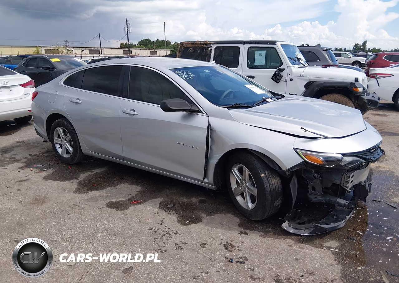 2019 Chevrolet Malibu 1Ls
