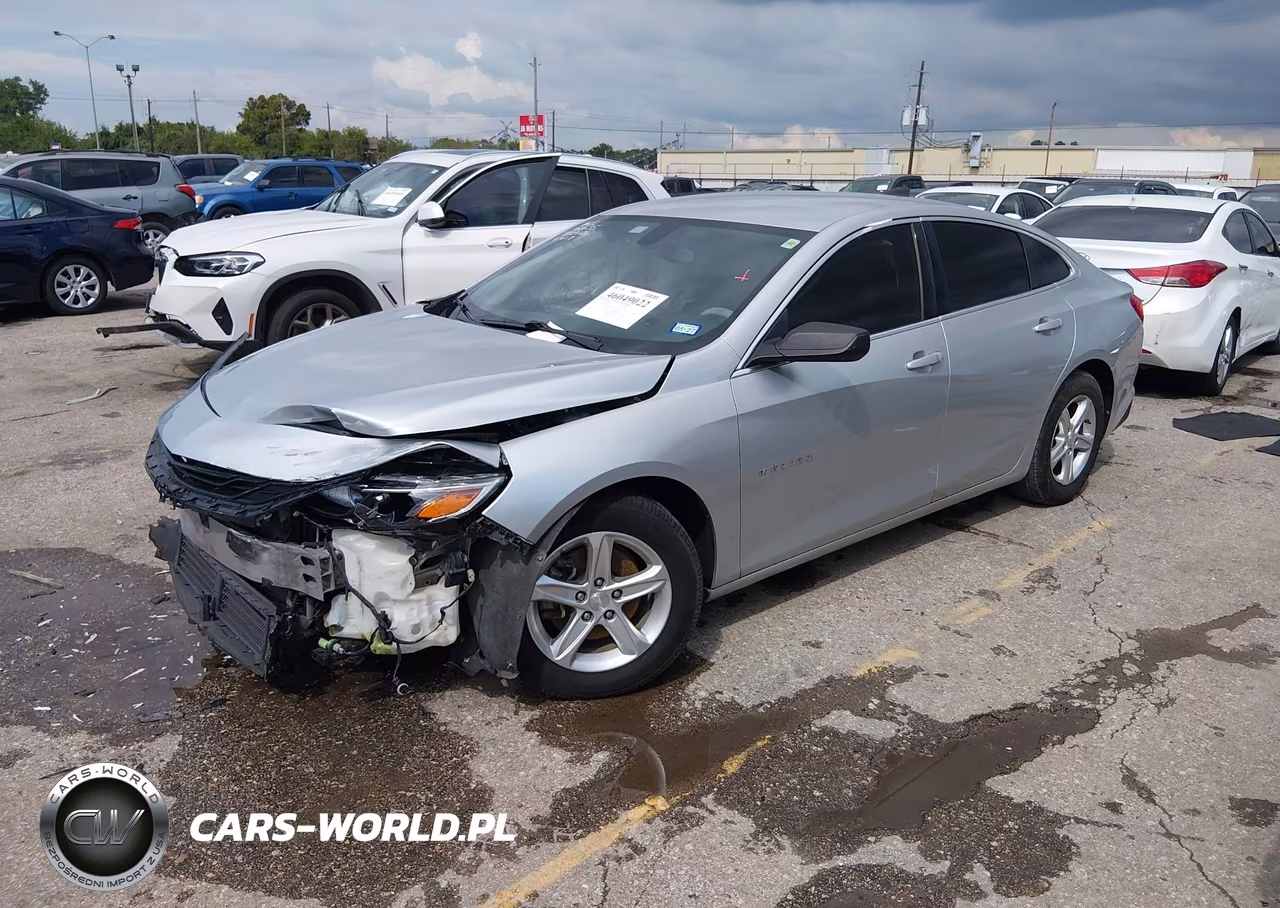 2019 Chevrolet Malibu 1Ls VIN:1G1ZB5ST3KF194196 - 2