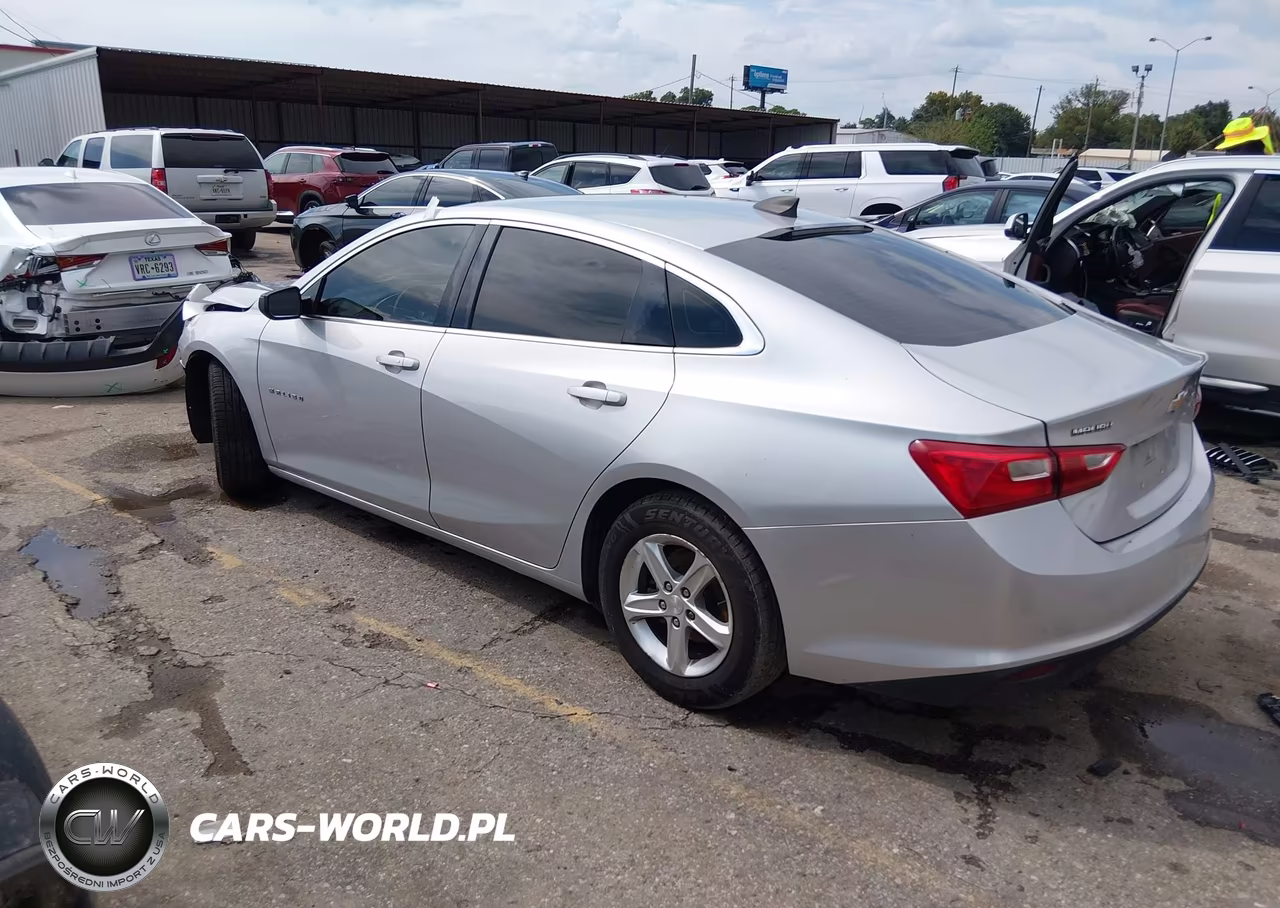 2019 Chevrolet Malibu 1Ls VIN:1G1ZB5ST3KF194196 - 3