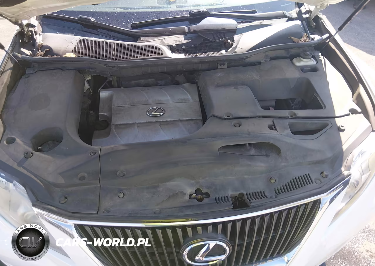 2010 Lexus Rx 350 VIN:2T2BK1BA4AC061773 - 10