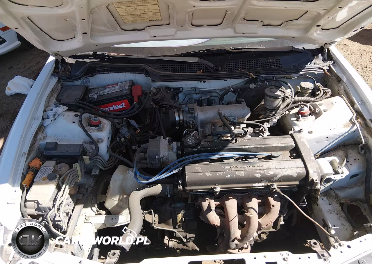 1995 Acura Integra Se VIN:JH4DC4364SS006647 - 10