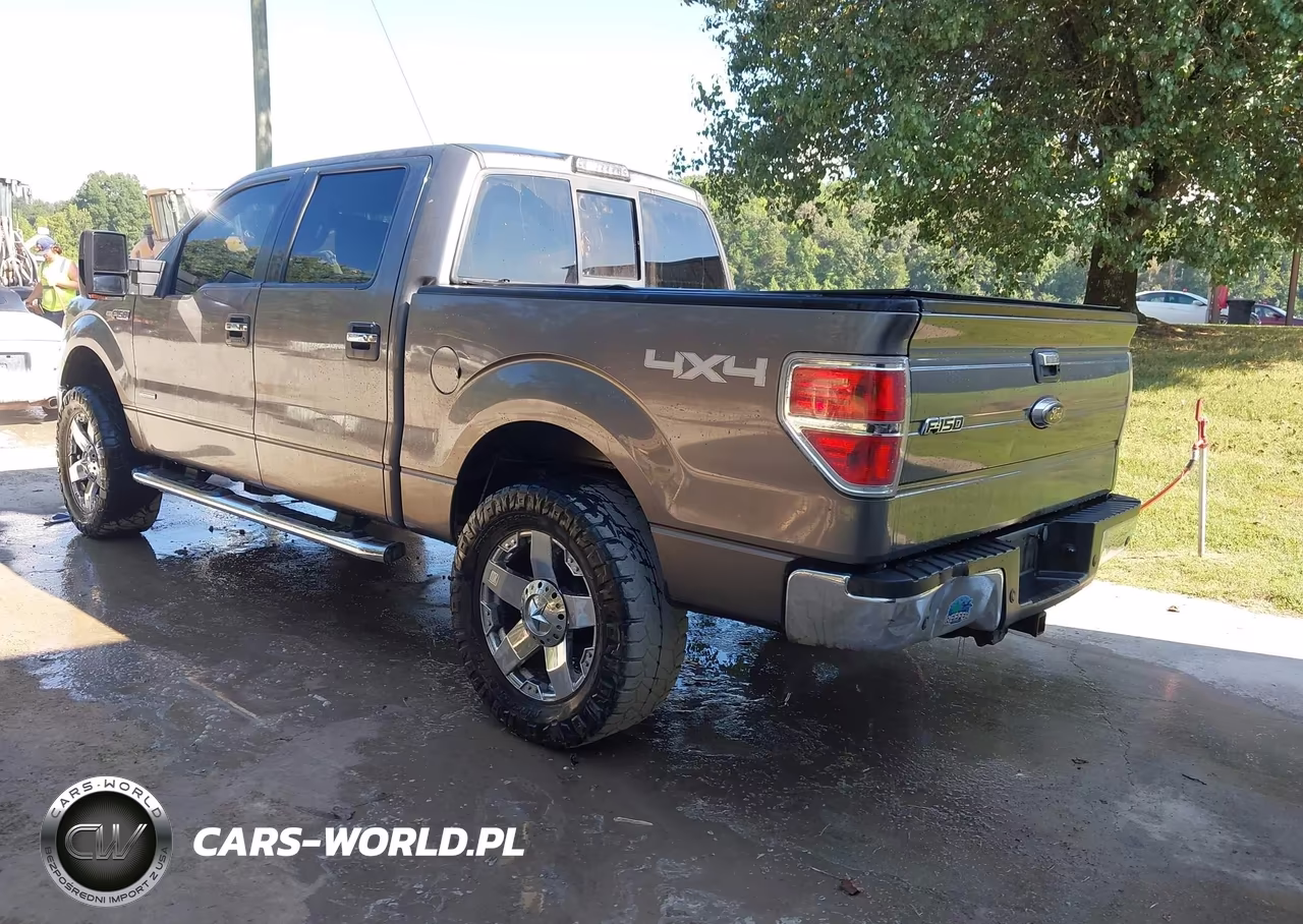 2013 Ford F-150 Xlt VIN:1FTFW1ET9DFA85389 - 3