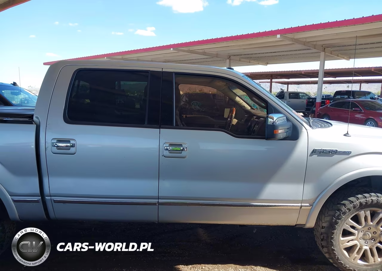 2010 Ford F-150 Fx4-Harley-Davidson-King Ranch-Lariat-Platinum-Xl-Xlt VIN:1FTFW1EV2AFA59097 - 12