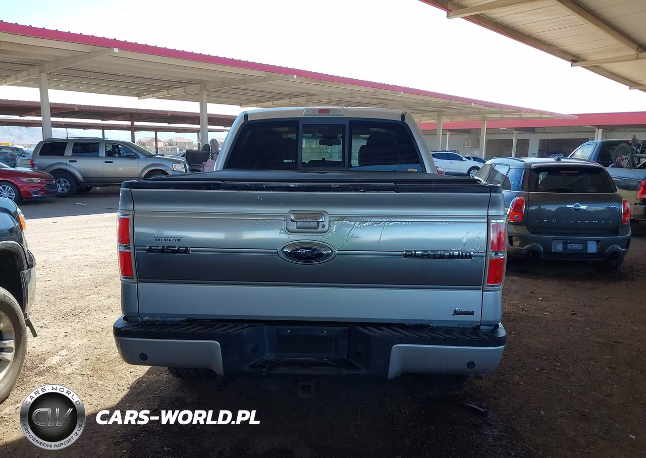 2010 Ford F-150 Fx4-Harley-Davidson-King Ranch-Lariat-Platinum-Xl-Xlt VIN:1FTFW1EV2AFA59097 - 15