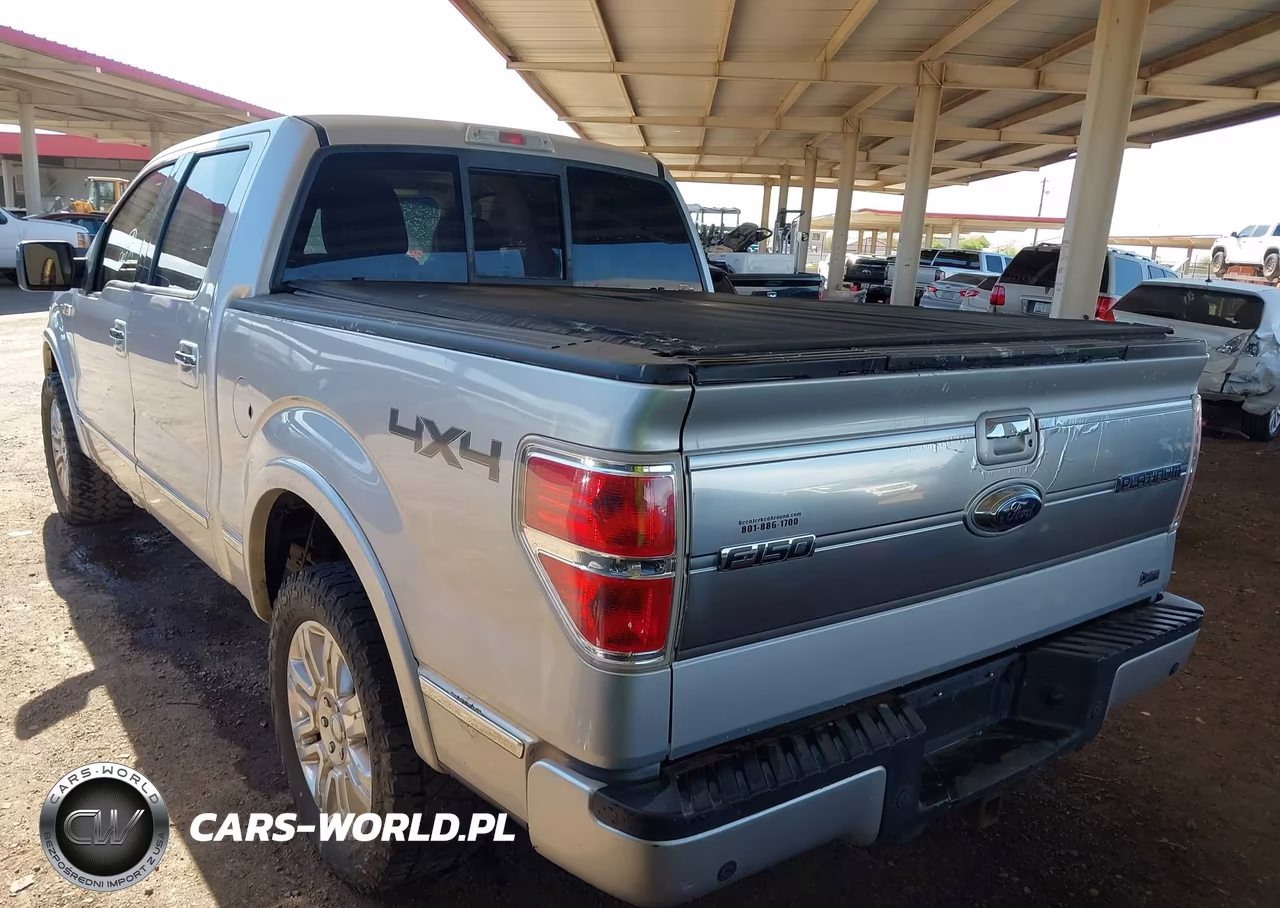 2010 Ford F-150 Fx4-Harley-Davidson-King Ranch-Lariat-Platinum-Xl-Xlt VIN:1FTFW1EV2AFA59097 - 3