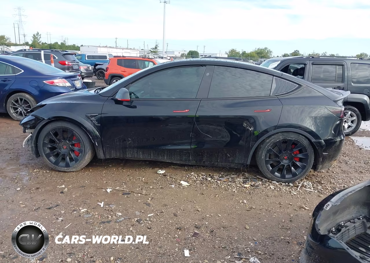 2024 Tesla Model Y Long Range Dual Motor All-Wheel Drive VIN:7SAYGAEE7RF204661 - 15