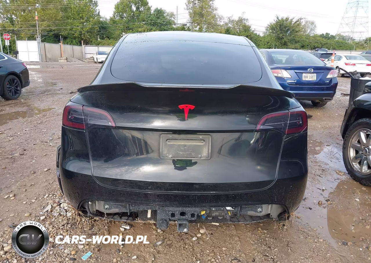2024 Tesla Model Y Long Range Dual Motor All-Wheel Drive VIN:7SAYGAEE7RF204661 - 17