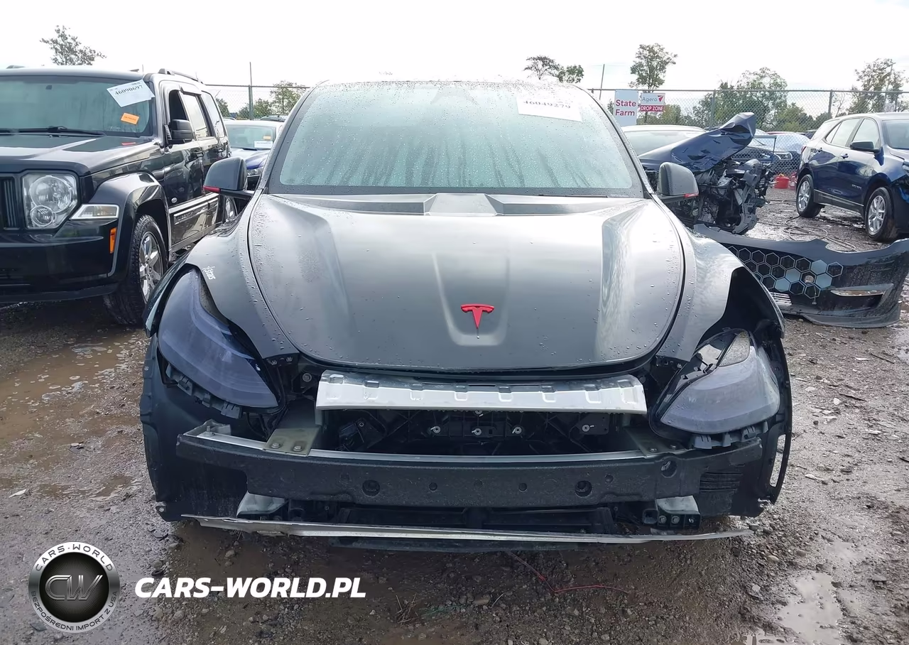 2024 Tesla Model Y Long Range Dual Motor All-Wheel Drive VIN:7SAYGAEE7RF204661 - 6
