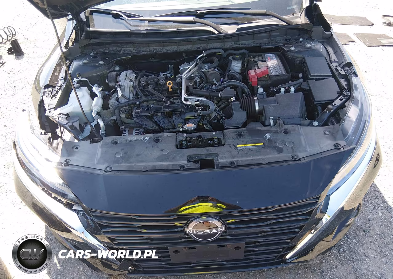 2025 Nissan Altima Sv Awd VIN:1N4BL4DW9SN302839 - 10
