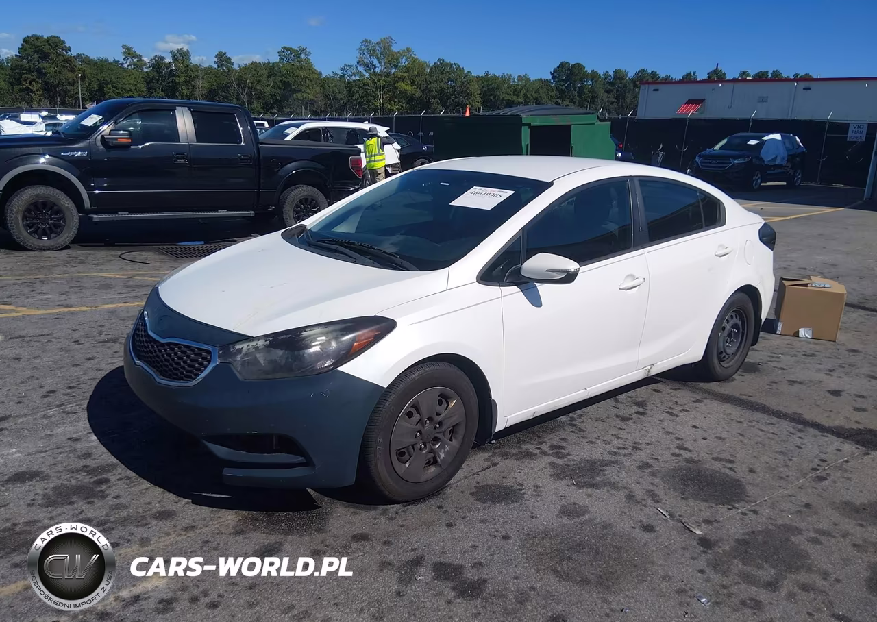 2015 Kia Forte Lx VIN:KNAFX4A61F5393824 - 2