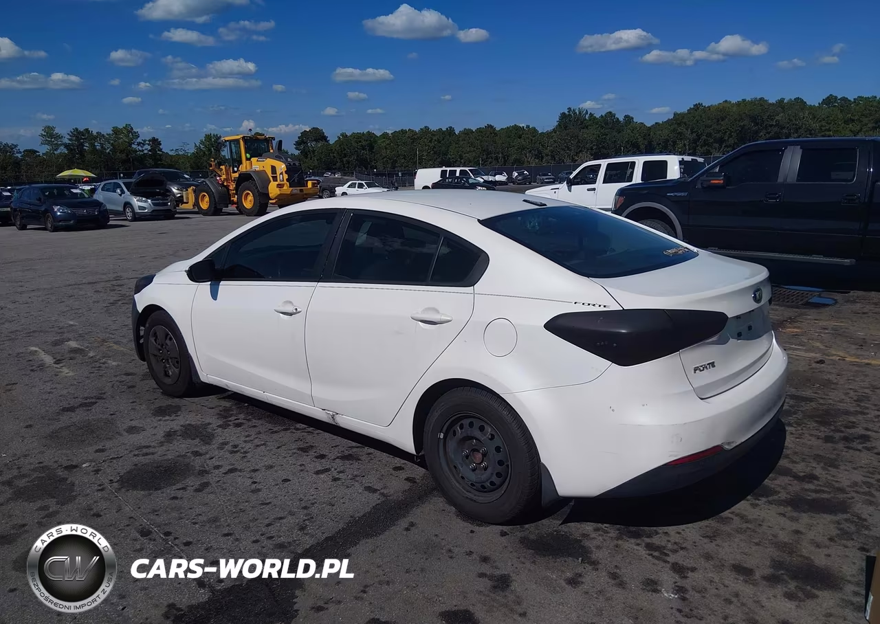 2015 Kia Forte Lx VIN:KNAFX4A61F5393824 - 3
