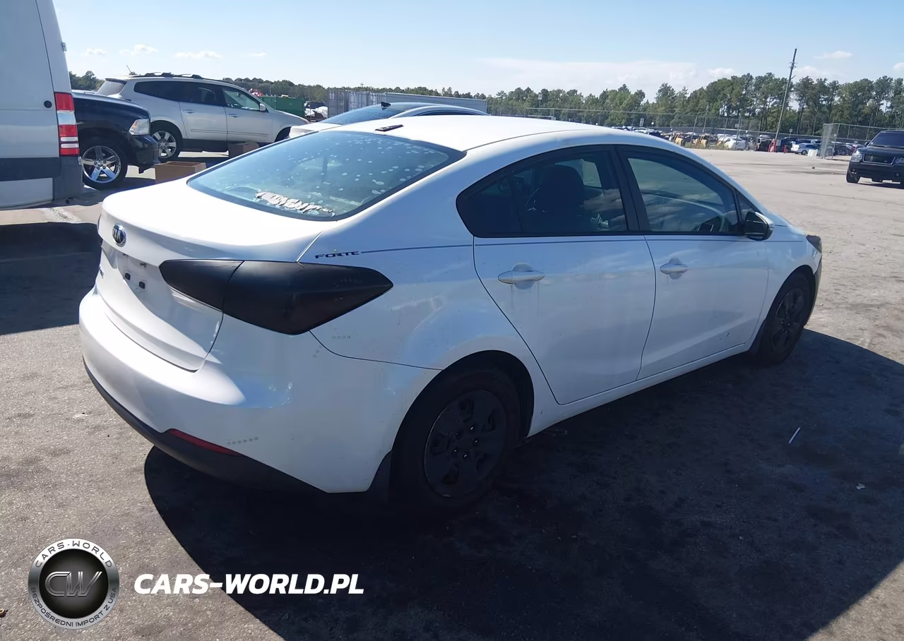 2015 Kia Forte Lx VIN:KNAFX4A61F5393824 - 4
