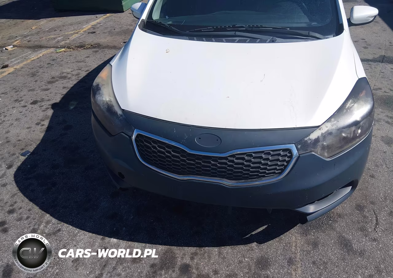 2015 Kia Forte Lx VIN:KNAFX4A61F5393824 - 6