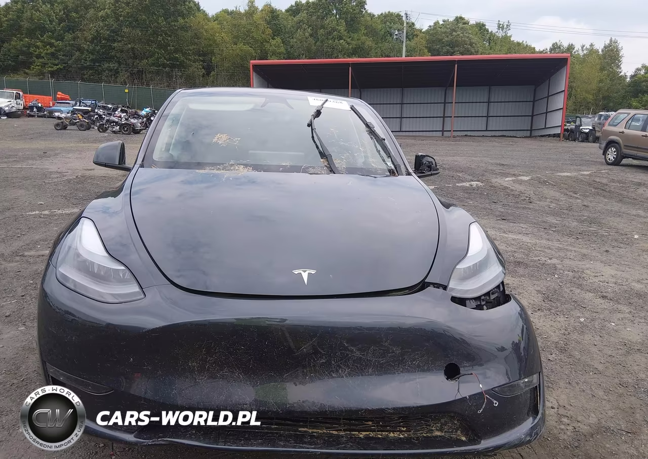 2025 Tesla Model Y Long Range Dual Motor All-Wheel Drive VIN:7SAYGDEE1SA342605 - 12