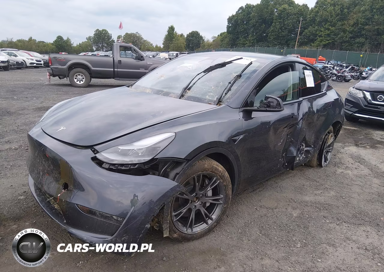 2025 Tesla Model Y Long Range Dual Motor All-Wheel Drive VIN:7SAYGDEE1SA342605 - 2