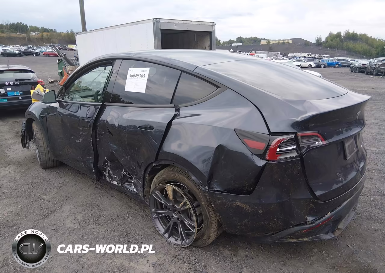 2025 Tesla Model Y Long Range Dual Motor All-Wheel Drive VIN:7SAYGDEE1SA342605 - 3