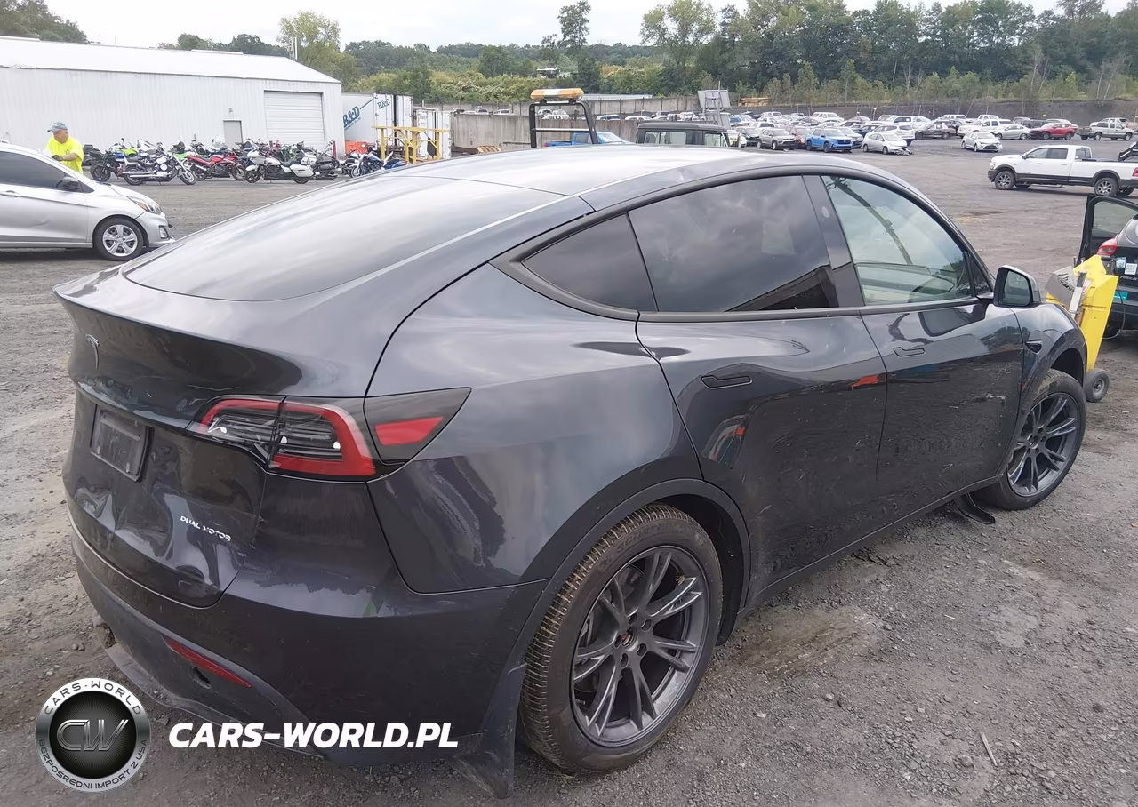 2025 Tesla Model Y Long Range Dual Motor All-Wheel Drive VIN:7SAYGDEE1SA342605 - 4