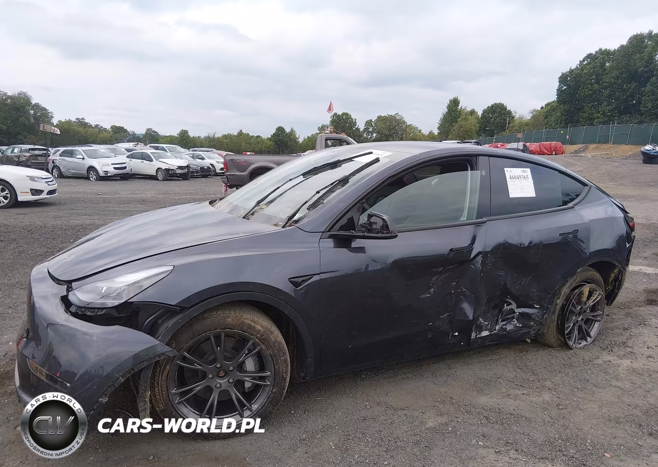 2025 Tesla Model Y Long Range Dual Motor All-Wheel Drive VIN:7SAYGDEE1SA342605 - 6