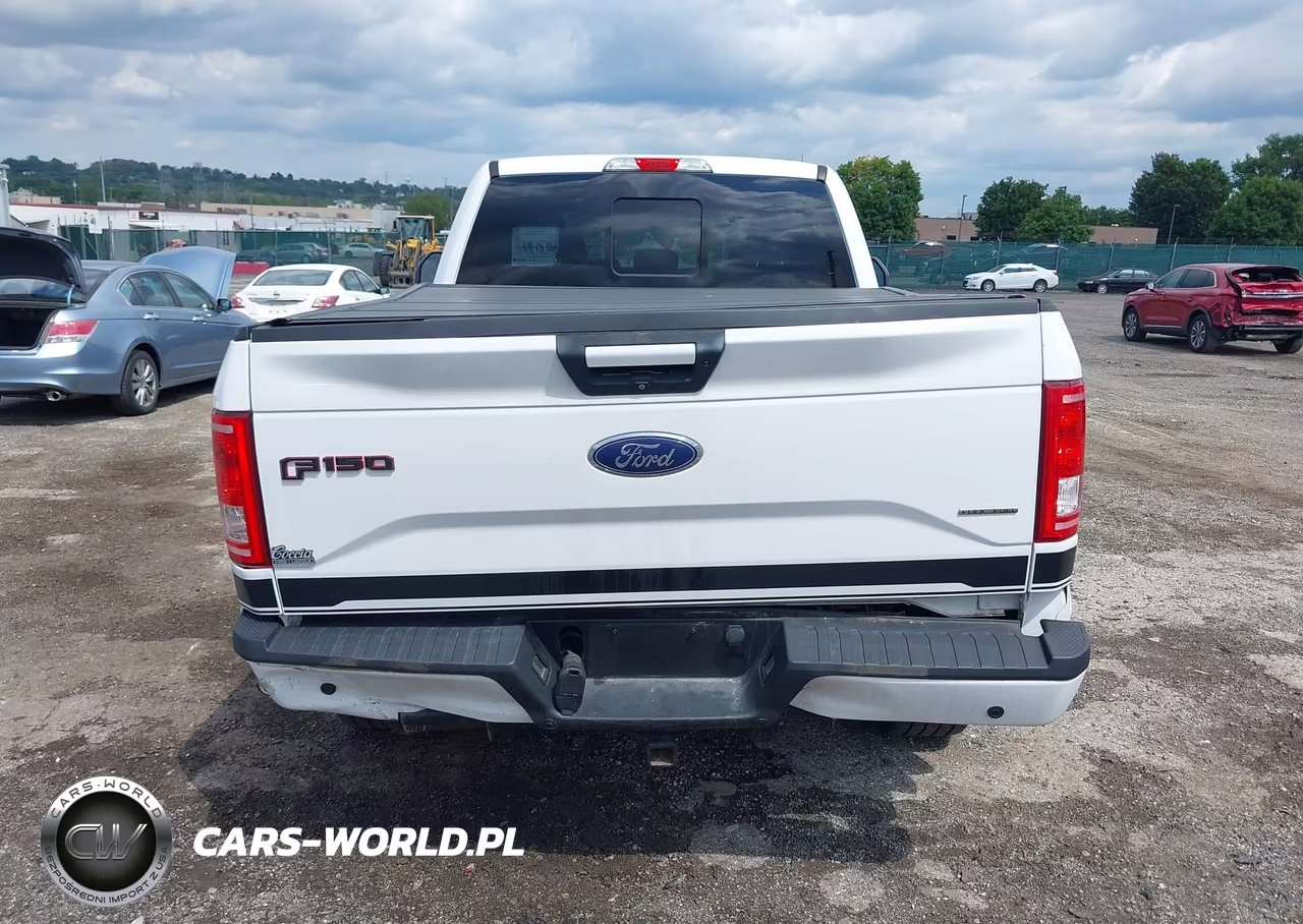 2016 Ford F-150 Xlt VIN:1FTFX1EF1GFC86036 - 15