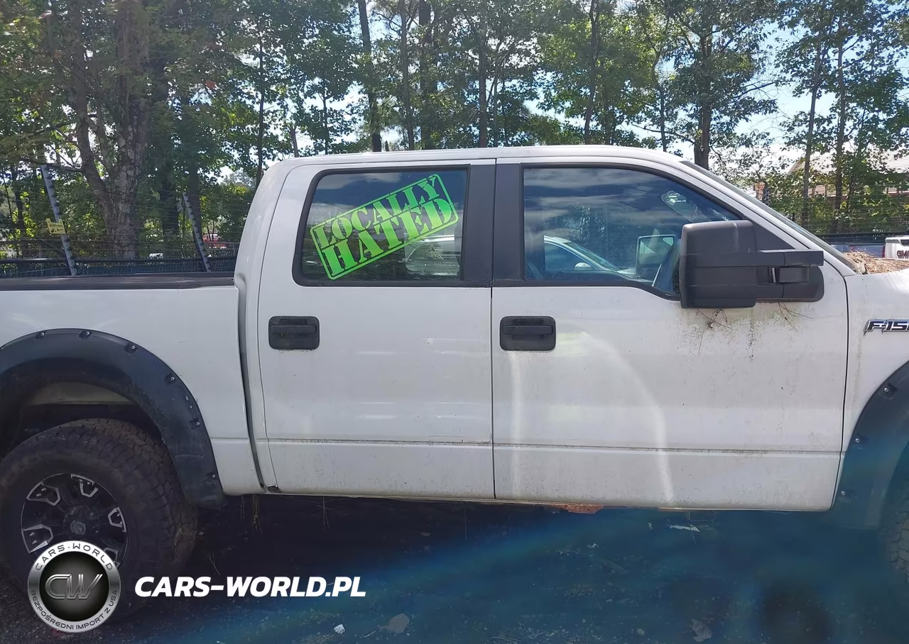 2014 Ford F-150 Xl VIN:1FTFW1EF9EFC09902 - 13
