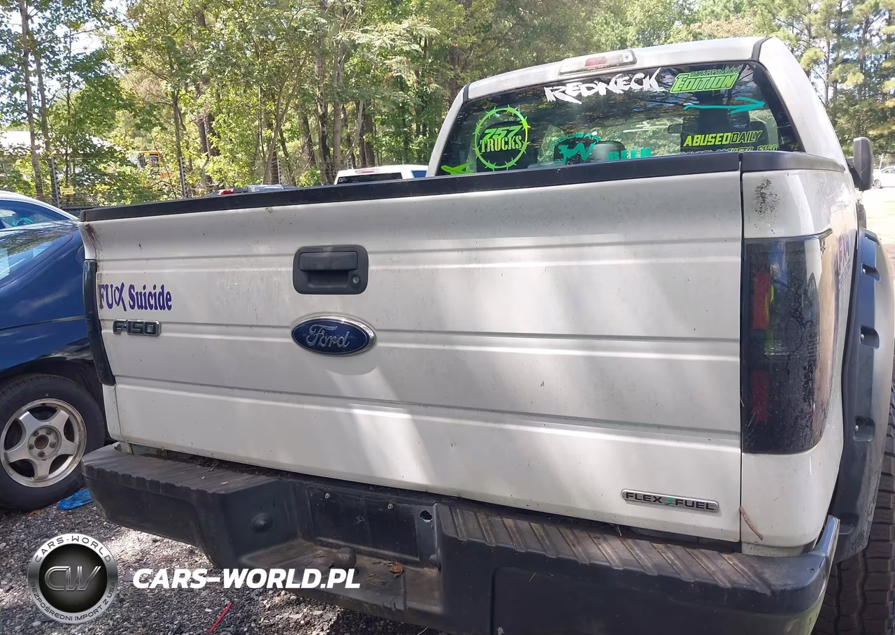 2014 Ford F-150 Xl VIN:1FTFW1EF9EFC09902 - 16