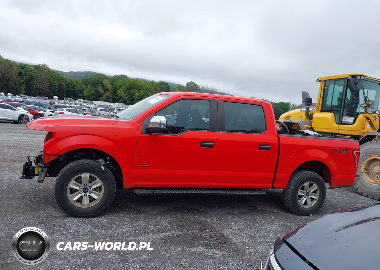 2017 Ford F150 Supercrew VIN:1FTEW1EP0HKD56948 - 15