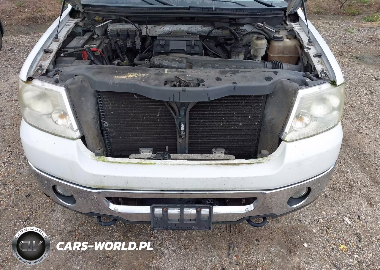 2006 Ford F-150 Fx4-Lariat-Xlt VIN:1FTPW14526FB32773 - 10