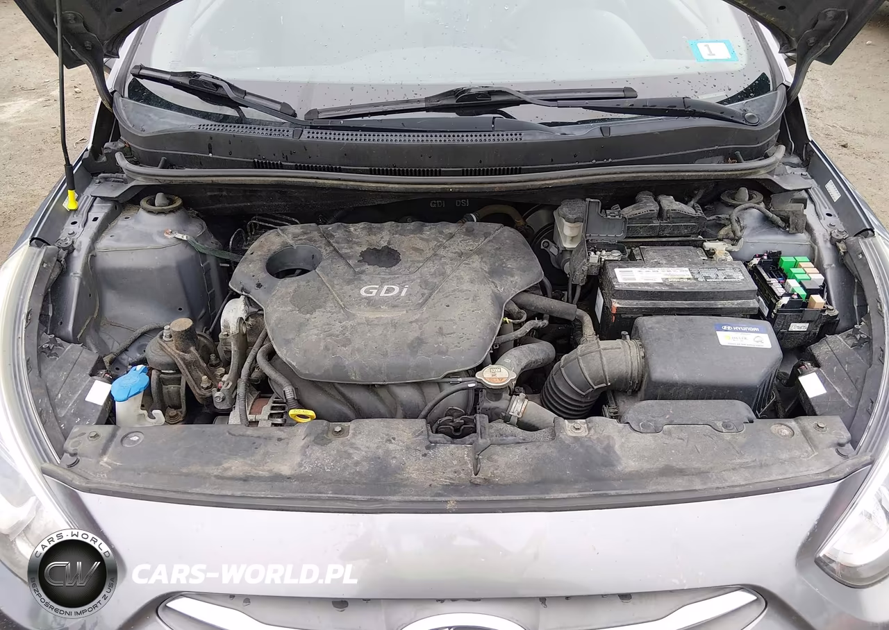 2016 Hyundai Accent Se VIN:KMHCT5AE2GU281194 - 10