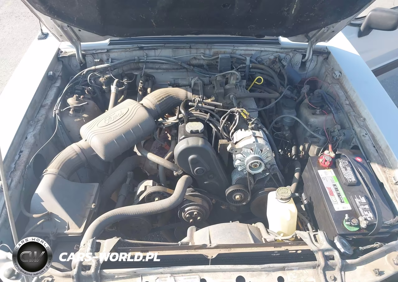1989 Ford Mustang Lx VIN:1FABP44A5KF195565 - 10
