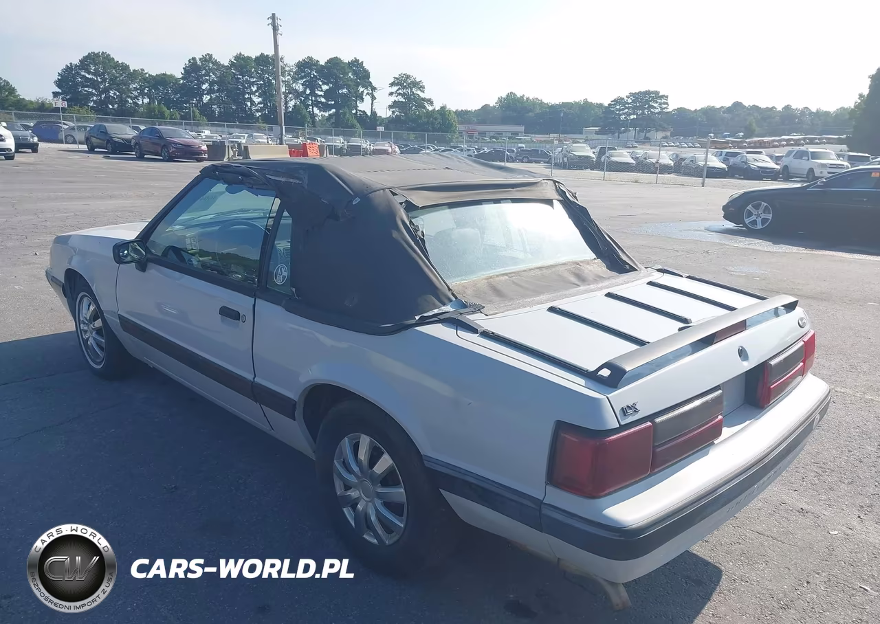 1989 Ford Mustang Lx VIN:1FABP44A5KF195565 - 3