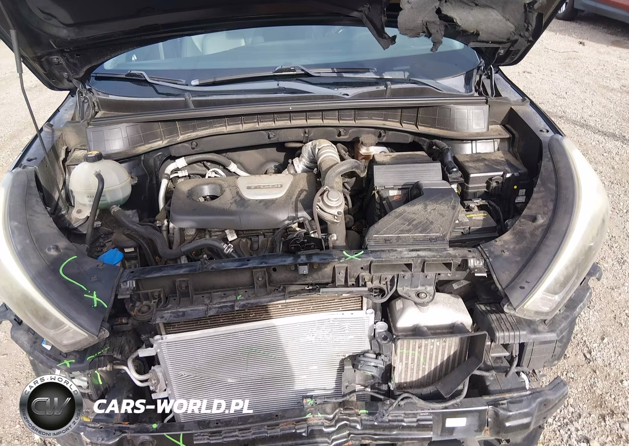 2017 Hyundai Tucson Limited VIN:KM8J33A25HU516190 - 10