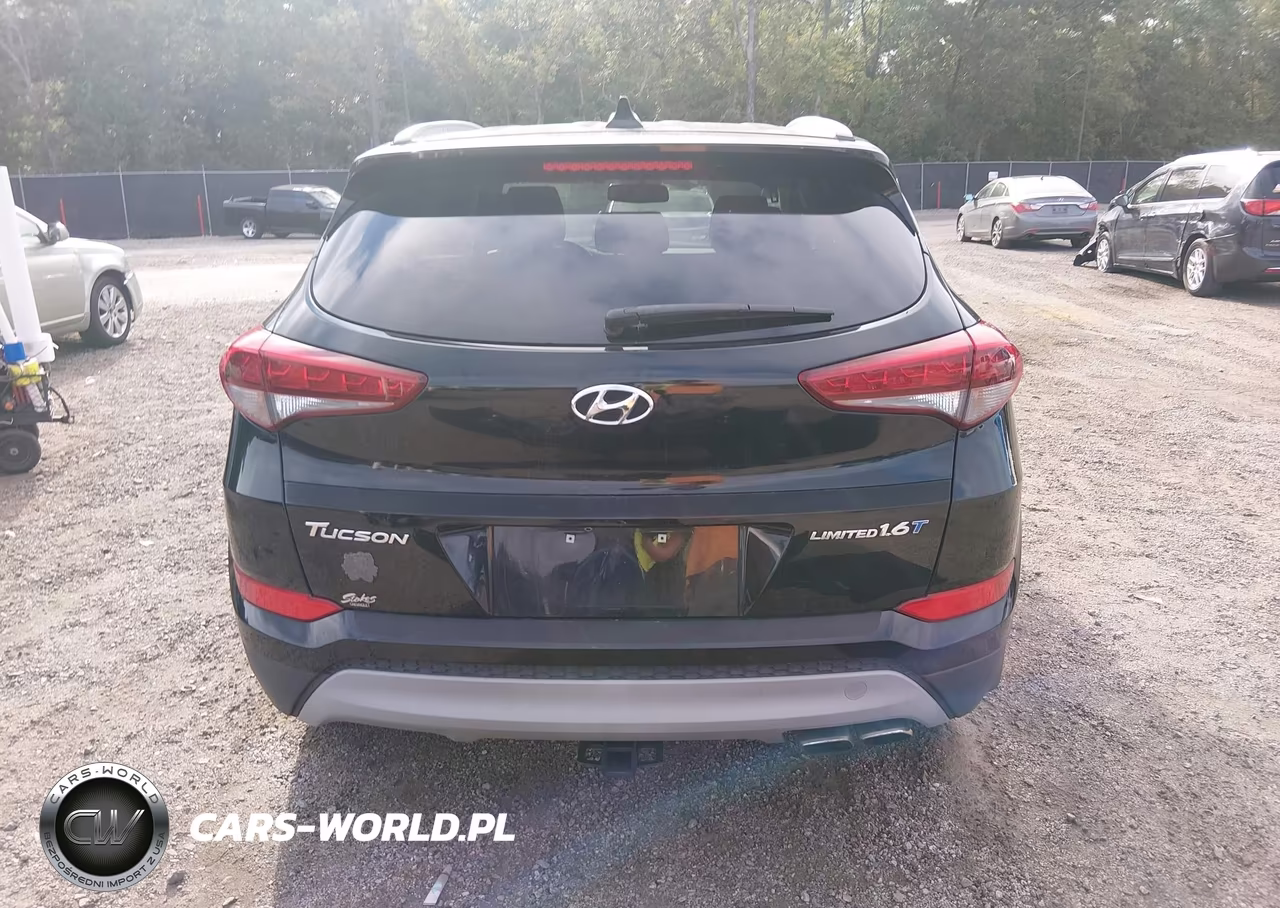 2017 Hyundai Tucson Limited VIN:KM8J33A25HU516190 - 17