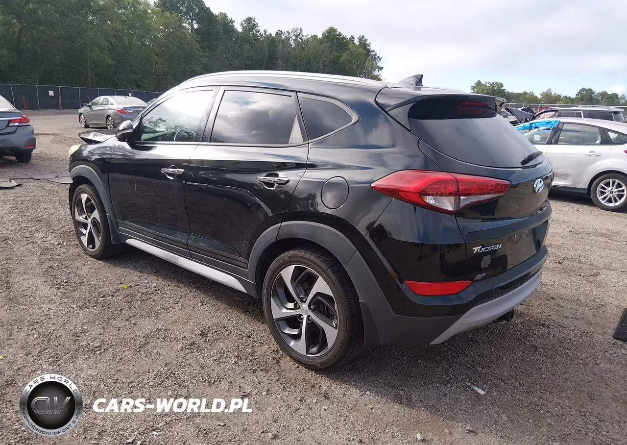 2017 Hyundai Tucson Limited VIN:KM8J33A25HU516190 - 3