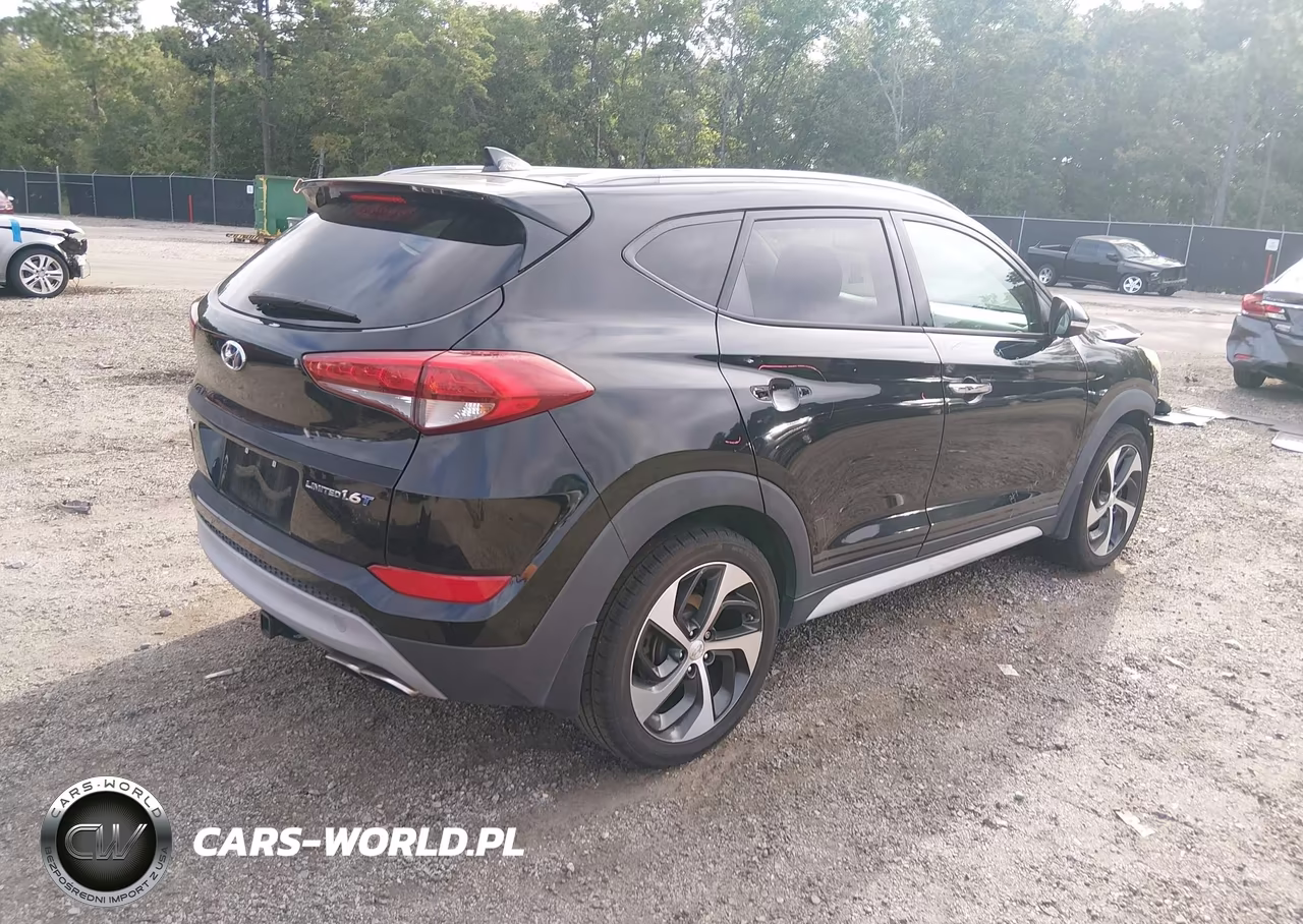 2017 Hyundai Tucson Limited VIN:KM8J33A25HU516190 - 4