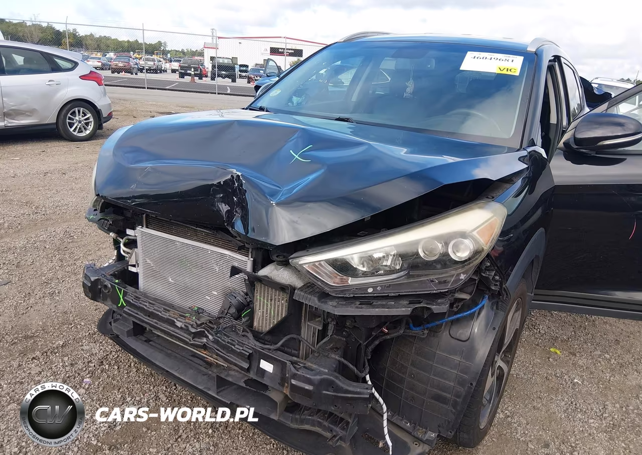 2017 Hyundai Tucson Limited VIN:KM8J33A25HU516190 - 6