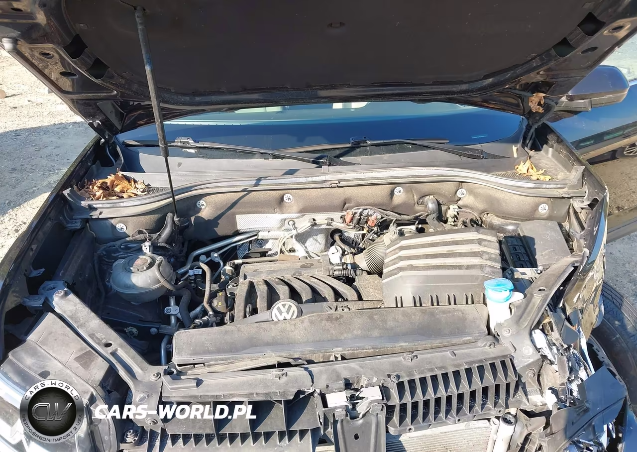 2019 Volkswagen Atlas 3.6L V6 Se W-Technology VIN:1V2WR2CA5KC535793 - 10