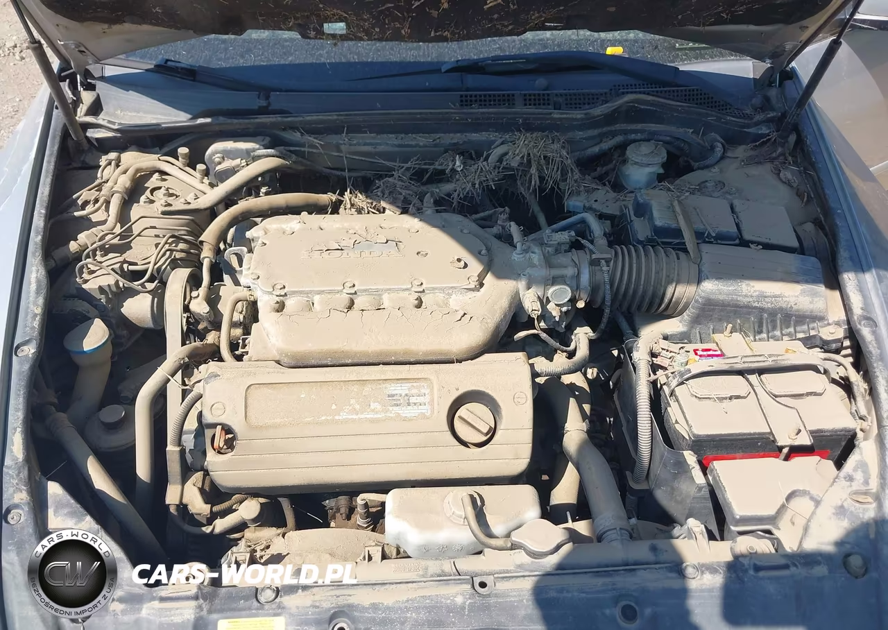 2007 Honda Accord 3.0 Ex VIN:1HGCM66527A105216 - 10