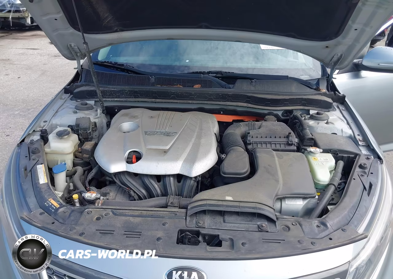2015 Kia Optima Hybrid VIN:KNAGM4AD6F5082207 - 10