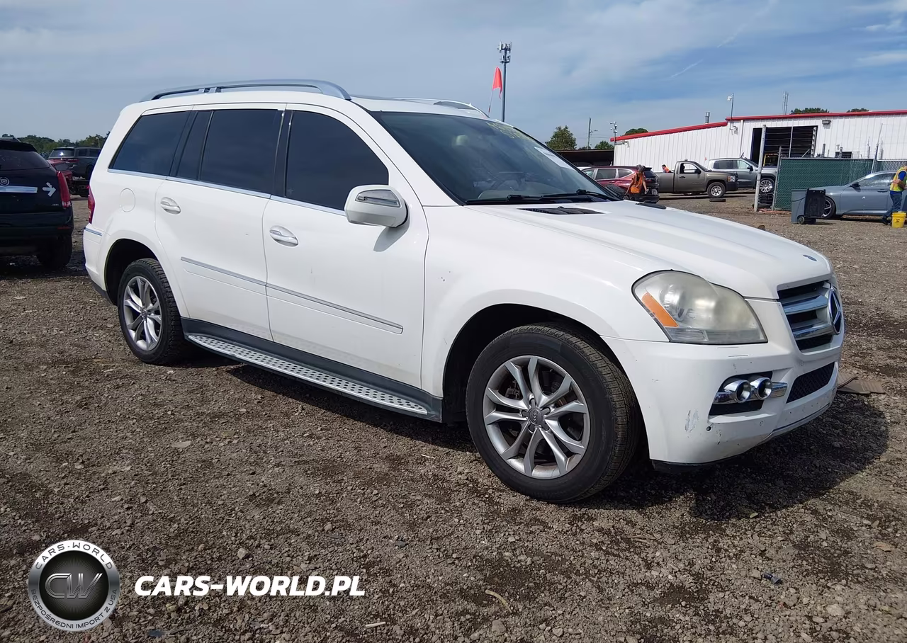 2010 Mercedes-Benz Gl 450 4Matic VIN:4JGBF7BE2AA565141 - 1