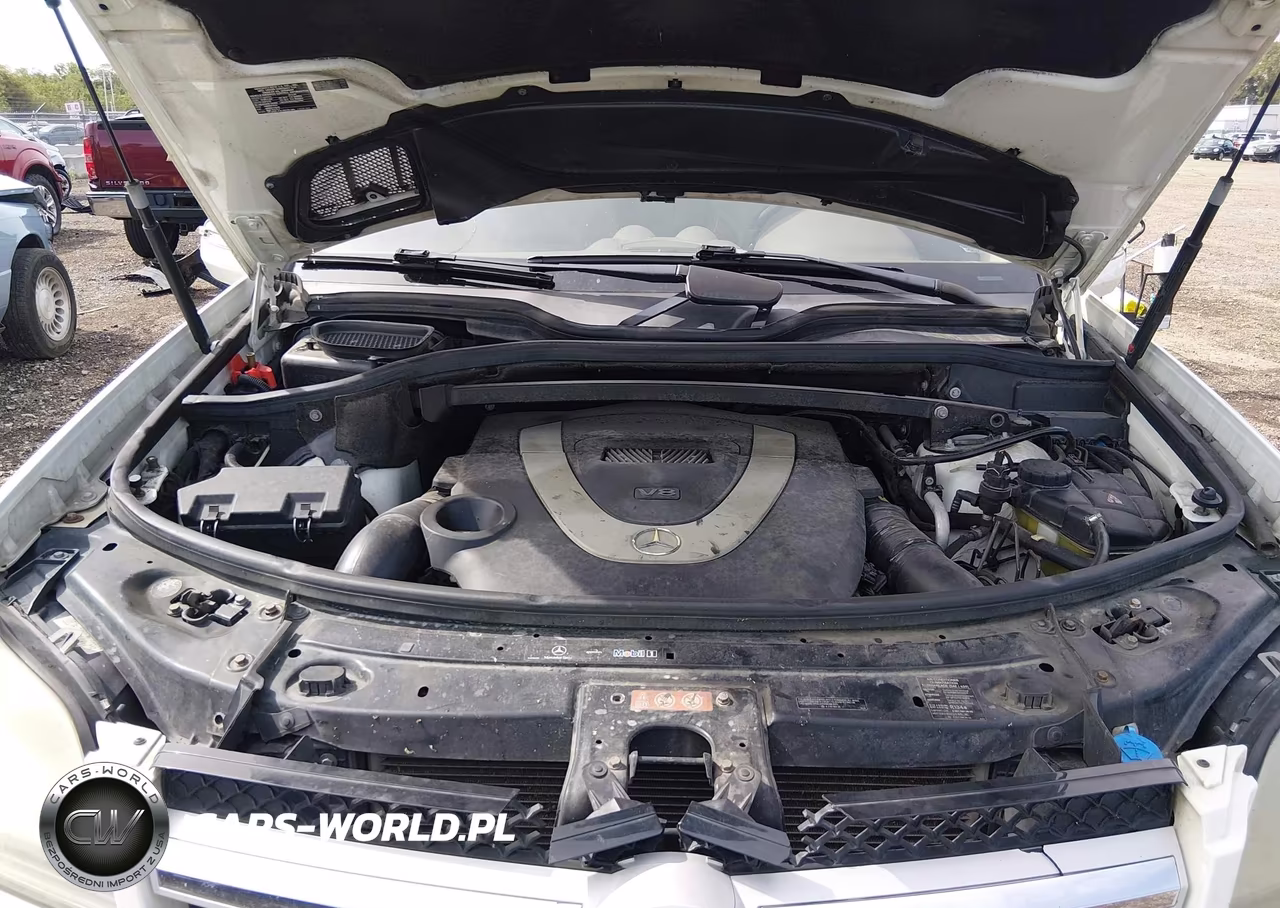 2010 Mercedes-Benz Gl 450 4Matic VIN:4JGBF7BE2AA565141 - 10